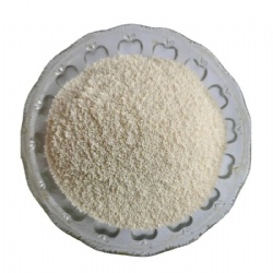 202 Type II Strong Base Anion Exchange Resin